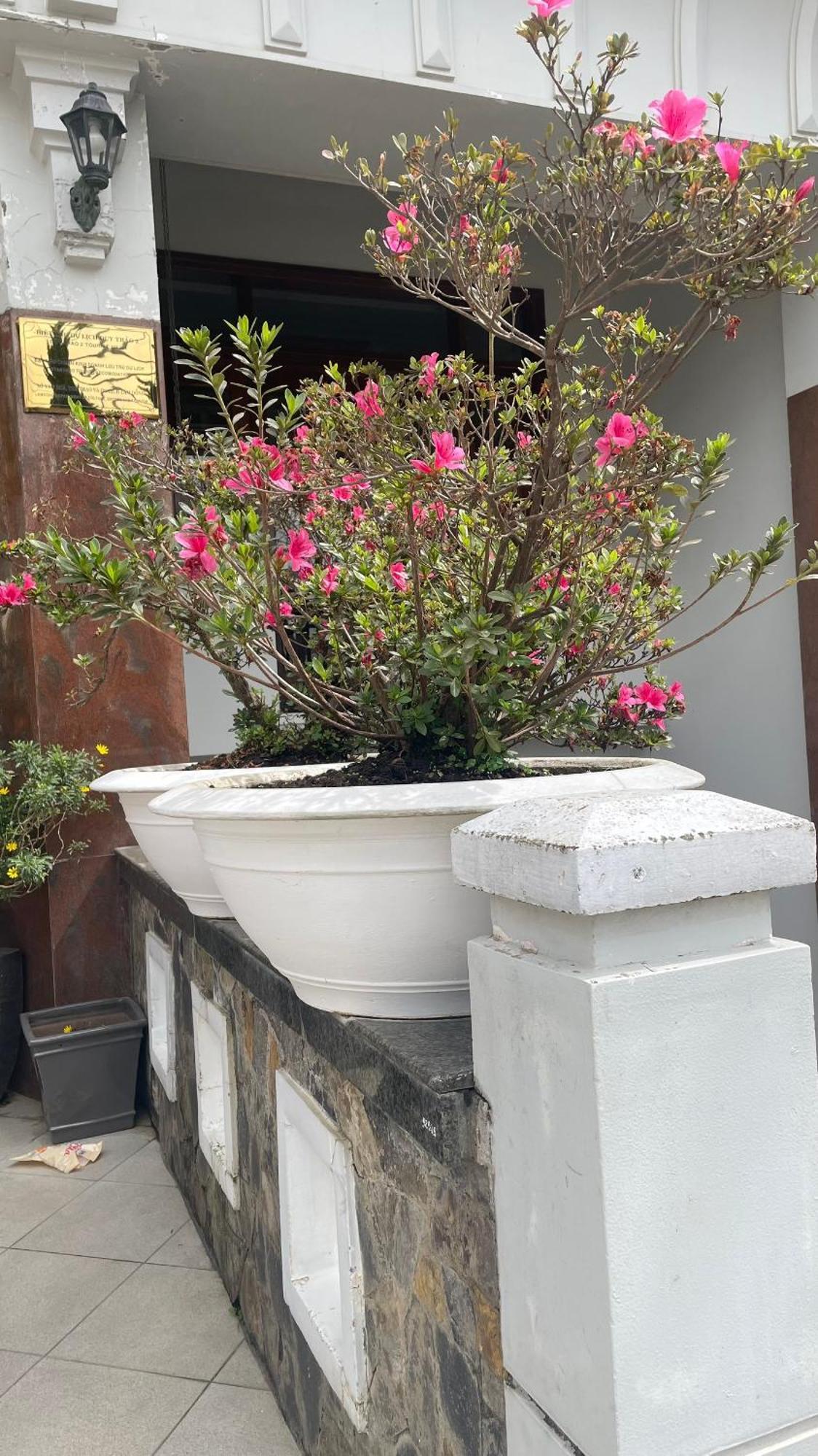 Duy Thao 2 Hotel Da Lat Exterior foto