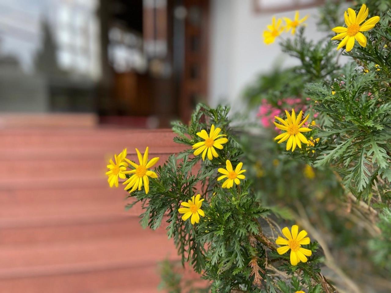 Duy Thao 2 Hotel Da Lat Exterior foto